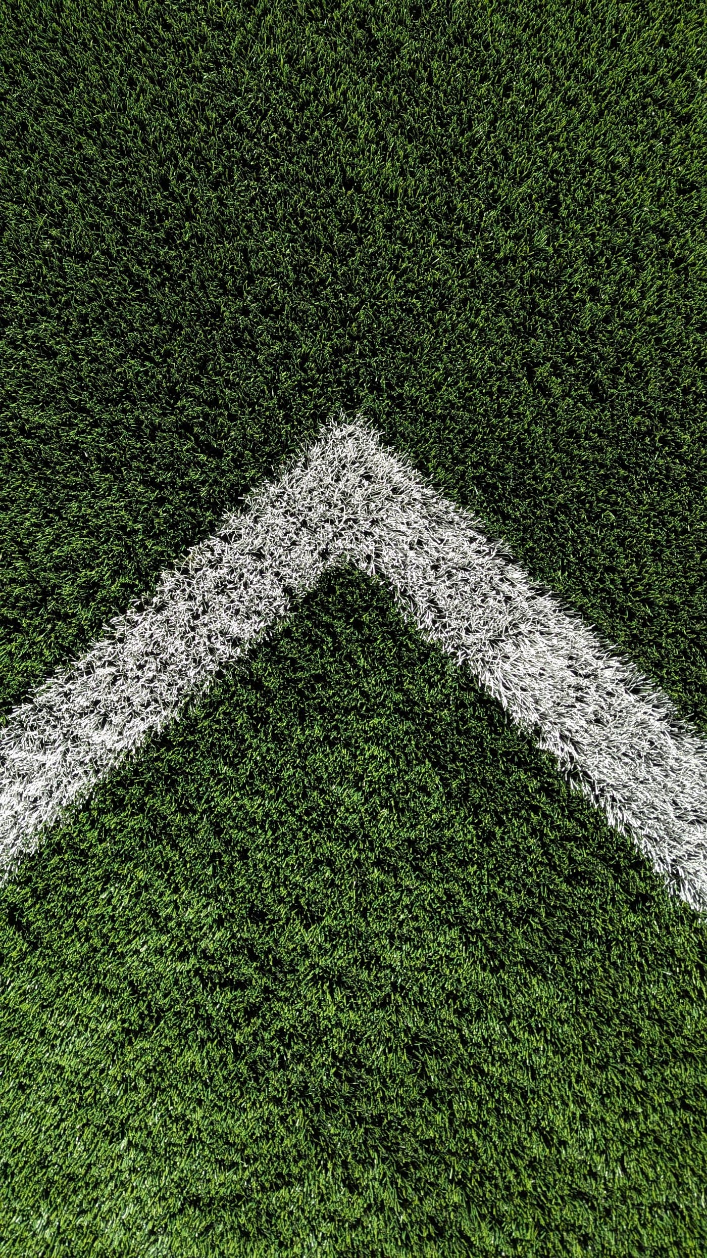 Cricket Outfields